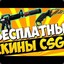 Шашл&quot;csgobounty.com&quot;