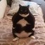 fATCAT