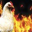 Chicken.on.fire