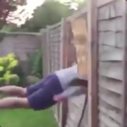 a highly disappointing kfc meal