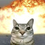 DEAL WITH IT