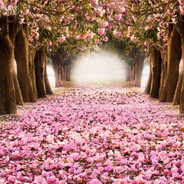 Bad_Bed - steam id 76561199073743900