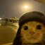 Fredus_Cat
