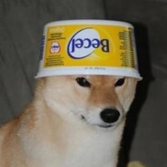 Nushi's avatar