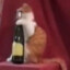 Drunk Cat