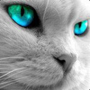 ..........(GZ)......... ÑAKI ÑAU