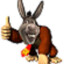 donkey from shrek