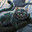 Cheshire Cat