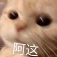 海底捞在逃肥羊卷