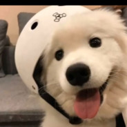 翻斗花园第一突击手