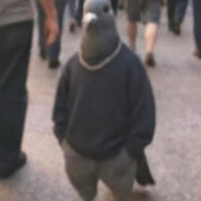 Fēng Kuáng Tiào Dòng