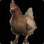 Fry D. Chicken@ZBT.com