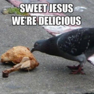 cannibalism pigeon
