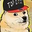 Top Doge