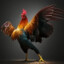 Wild Cock 2025