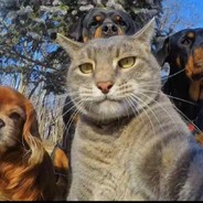 林正英收僵尸劳大