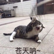 是徐琼