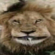 жопа ебанутая