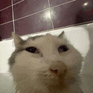 Чвк Фембойчик