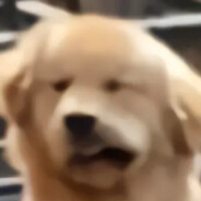 冲之前想想你那点B门票赚不赚的回来