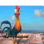 Exhausted chicken