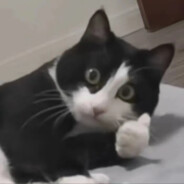 人傻枪马还爱玩