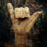 救驾来迟罪该万死