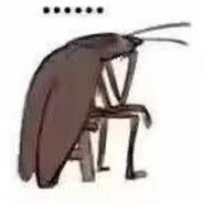 你的她韩着他的它