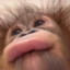 Sumito
