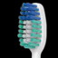 Colgate Toothpaste