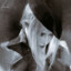 zzhenshen