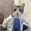 Dr. Kat