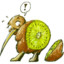 _kiwi_