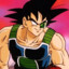 Bardock