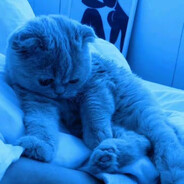 -f1nk666 - steam id 76561199143033870