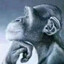 dotex's avatar