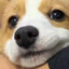 故安