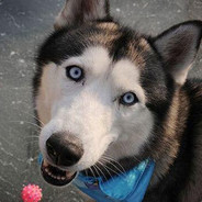 电脑玩家杰克霖