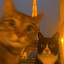 Pussy in Paris