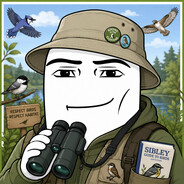 brodiebird