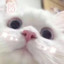 卡莎