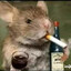 smoking_mouse