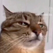 >>>