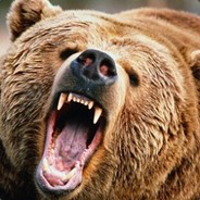 Grizlis