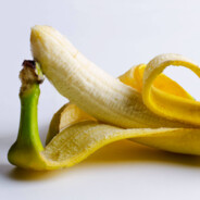 BOT BananagasM - steam id 76561198057551338