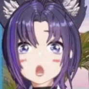 这次一定不猫车