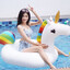nong noon
