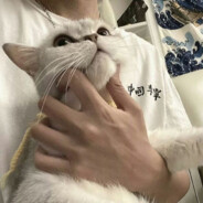 老芸術家の自信と冷静