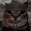 war kitty