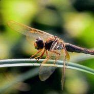 钓钓钓 钓尼玛钓